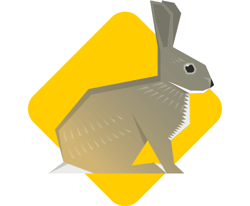 Conejo