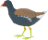 null
