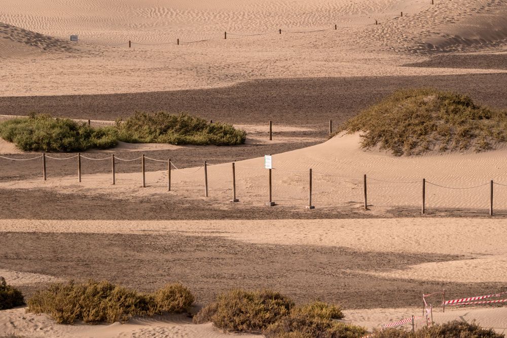 "Nature déchet" : Pièges mortels invisibles