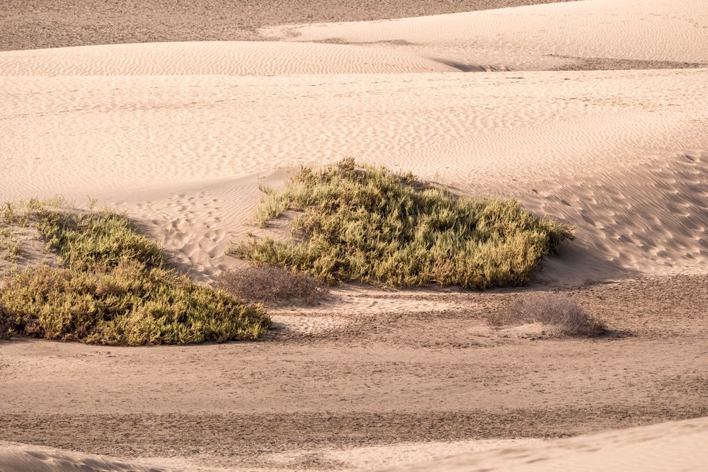 Dinámica Sedimentaria
