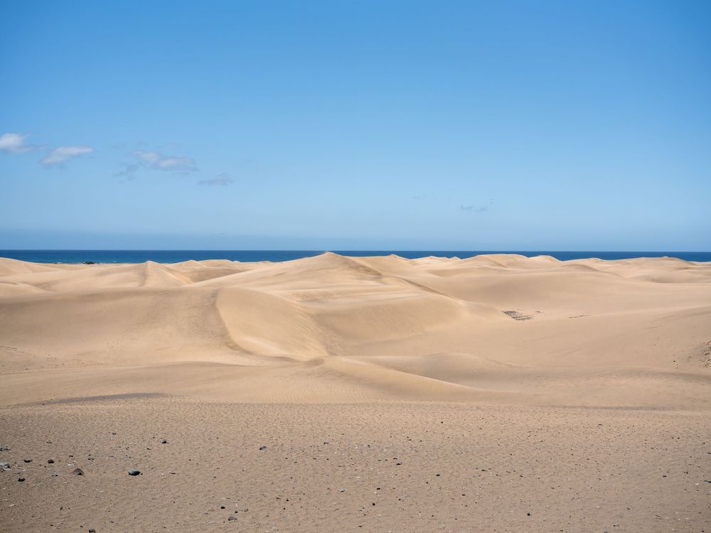 26_MASPALOMAS_FOTOS_ANEXO-8.jpg