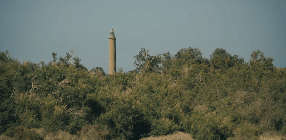 Bosques de Tarajales