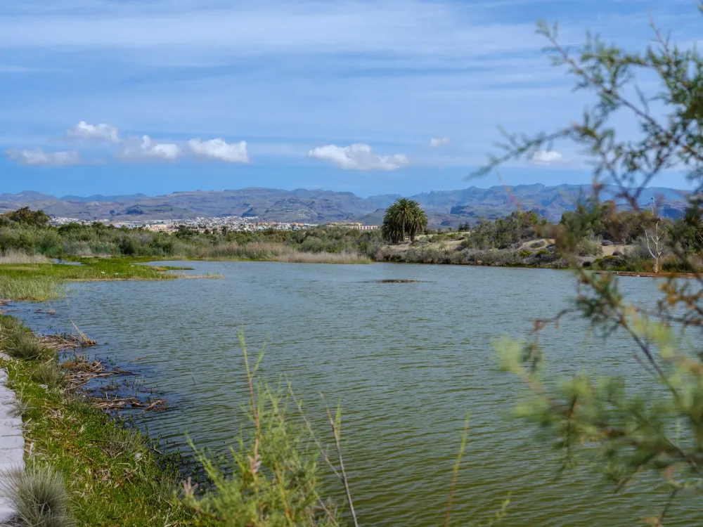 La Charca