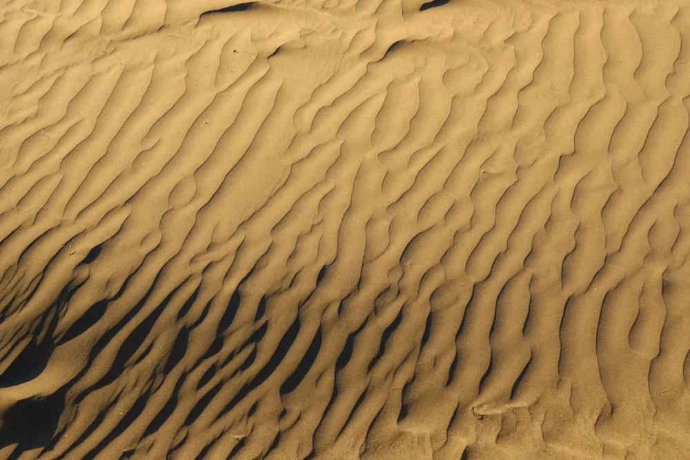 El Alisio
