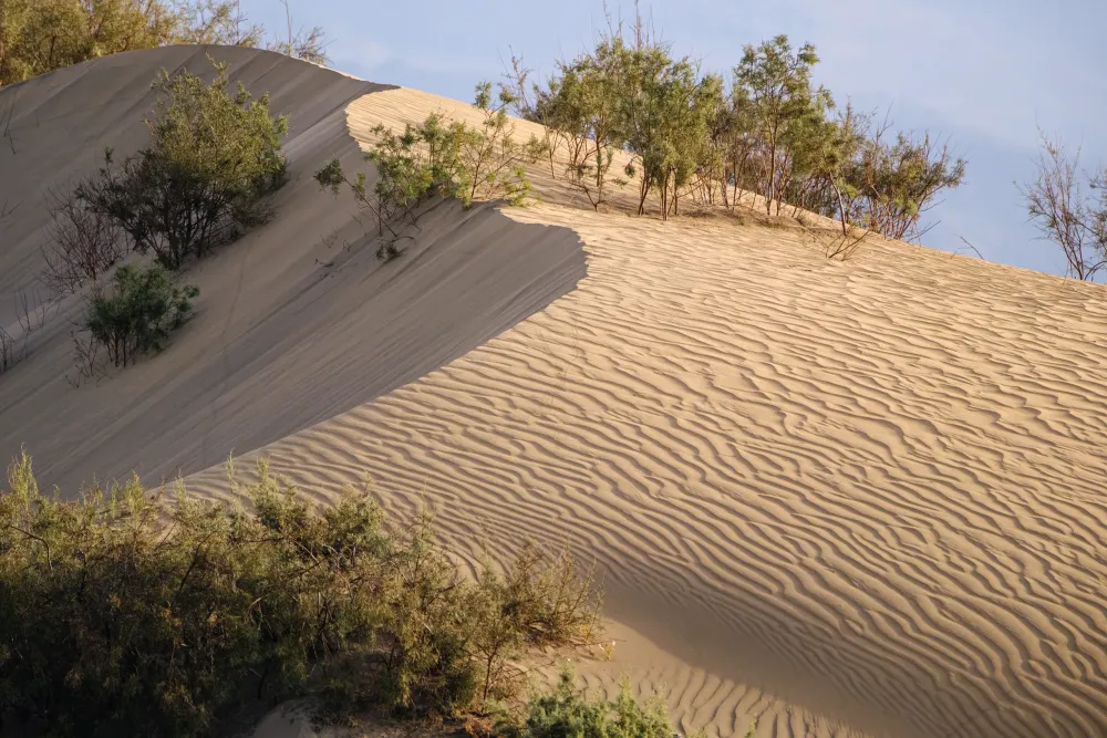 Las Dunas