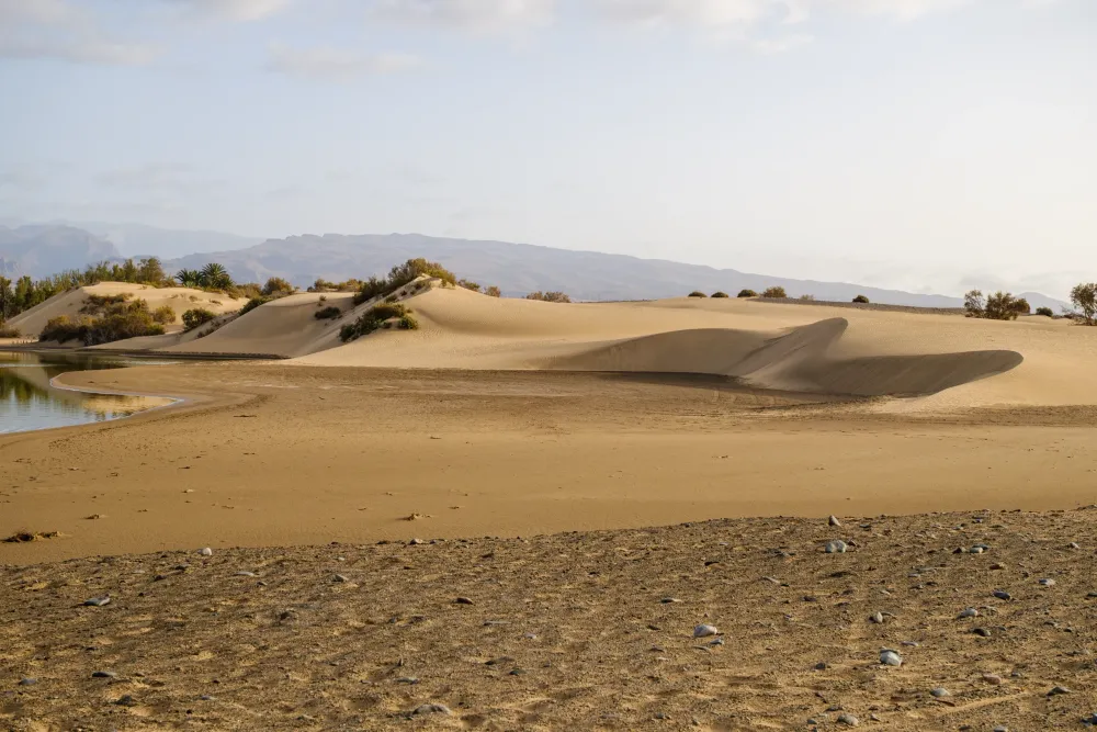 Campo de Dunas