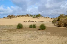 El Gran Desafío: Naturaleza vs. Influencias Antrópicas